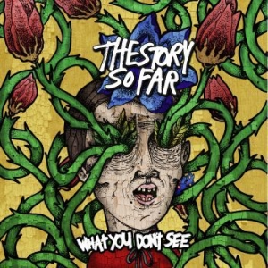 Story So Far - What You Don't See ryhmässä VINYYLI @ Bengans Skivbutik AB (3910866)