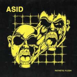 Asid - Pathetic Flesh ryhmässä VINYYLI @ Bengans Skivbutik AB (3915661)