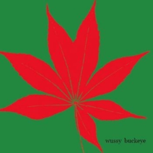 Wussy - Buckeye ryhmässä CD @ Bengans Skivbutik AB (3917820)