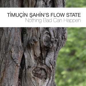 Timucin Sahin's Flow Stat - Nothing Bad Can Happen ryhmässä CD @ Bengans Skivbutik AB (3922394)