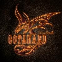 Gotthard - Firebirth ryhmässä CD @ Bengans Skivbutik AB (3924668)