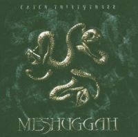 Meshuggah - Catch Thirty Three ryhmässä Minishops / Meshuggah @ Bengans Skivbutik AB (3925030)