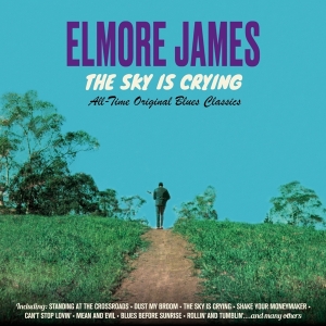 Elmore James - Sky Is Crying ryhmässä CD @ Bengans Skivbutik AB (3925080)