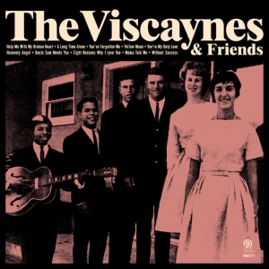 Viscaynes - Viscaynes & Friends ryhmässä VINYYLI @ Bengans Skivbutik AB (3925625)