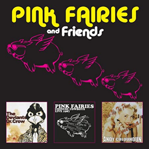 Pink Fairies - Pink Fairies And Friends ryhmässä CD @ Bengans Skivbutik AB (3928409)