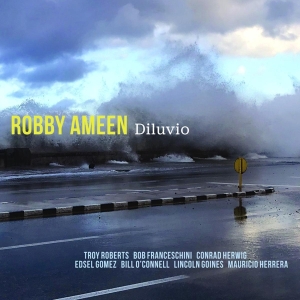 Robby Ameen - Diluvio ryhmässä CD @ Bengans Skivbutik AB (3928524)