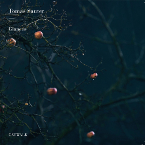 Sauter Tomas - Glances ryhmässä CD @ Bengans Skivbutik AB (3928825)