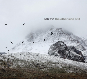 Nak Trio - Other Side Of If ryhmässä CD @ Bengans Skivbutik AB (3928949)