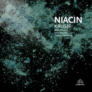 Niacin - Krush ryhmässä CD @ Bengans Skivbutik AB (3931652)