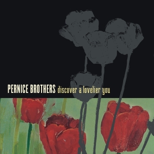 Pernice Brothers - Discover A Lovelier You ryhmässä CD @ Bengans Skivbutik AB (3934897)