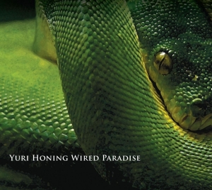 Yuro Wired Paradise Honing - Temptation ryhmässä CD @ Bengans Skivbutik AB (3935340)