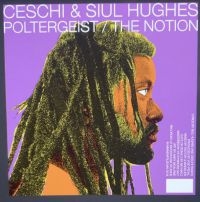 Ceschi And Siul Hughes - Poltergeist / The Notion ryhmässä VINYYLI @ Bengans Skivbutik AB (3942316)