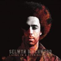 Birchwood Selwyn - Living In A Burning House (Orange V ryhmässä VINYYLI @ Bengans Skivbutik AB (3945567)