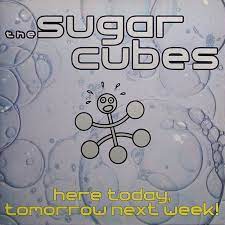 Sugarcubes - Here Today, Tomorrow Next Week! ryhmässä VINYYLI @ Bengans Skivbutik AB (3951734)