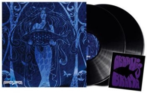 Abramis Brama - Enkel Biljett (2Lp Black) + Patch ryhmässä VINYYLI @ Bengans Skivbutik AB (3963797)