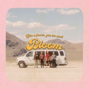 Carpool Tunnel - Bloom ryhmässä VINYYLI @ Bengans Skivbutik AB (3965435)