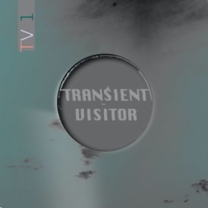 Transient Visitor - Tv1 ryhmässä VINYYLI @ Bengans Skivbutik AB (3965462)