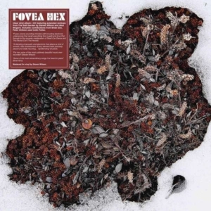 FOVEA HEX - SALT GARDEN - LANDSCAPED (LP+CD) ryhmässä VINYYLI @ Bengans Skivbutik AB (3981600)
