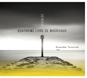 Ensemble Tarentule - Gesualdo: Quatrieme Livre De Madrigaux ryhmässä CD @ Bengans Skivbutik AB (3982143)