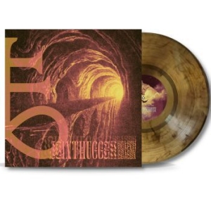 Jointhugger - Reaper Season (Gold/Black Marbled V ryhmässä VINYYLI @ Bengans Skivbutik AB (3983427)