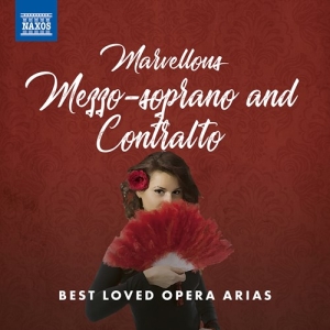 Various - Marvellous Mezzo-Soprano And Contra ryhmässä ME SUOSITTELEMME / Joululahjavinkki: CD @ Bengans Skivbutik AB (3985310)