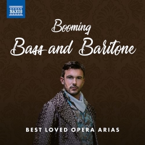 Various - Booming Bass And Baritone: Best Lov ryhmässä CD @ Bengans Skivbutik AB (3985311)