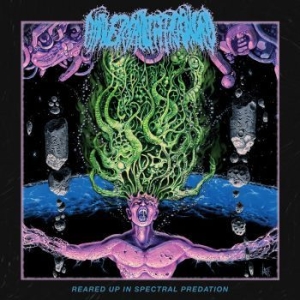 Universally Estranged - Reared Up In Spectral Predation ryhmässä VINYYLI @ Bengans Skivbutik AB (3987488)