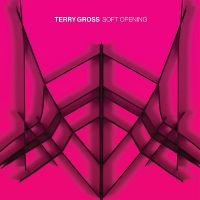 Gross Terry - Soft Opening (Translucent Blue Viny ryhmässä VINYYLI @ Bengans Skivbutik AB (3988698)