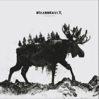 Bizarrekult - Vi Overlevde ryhmässä VINYYLI @ Bengans Skivbutik AB (3990280)