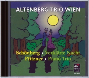 Schonberg/Pfitzner - Verklarte Nacht/Piano Tri ryhmässä CD @ Bengans Skivbutik AB (3995401)