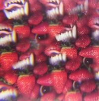 Oh Sees - Floating Coffin ryhmässä VINYYLI @ Bengans Skivbutik AB (3996457)