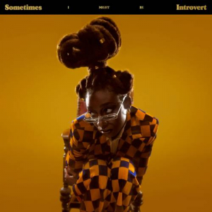 Little Simz - Sometimes I Might Be Introvert (Clear Vi ryhmässä Minishops / Little Simz @ Bengans Skivbutik AB (3997813)