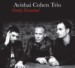 Cohen Avishai -Trio- - Gently Disturbed ryhmässä CD @ Bengans Skivbutik AB (4000034)