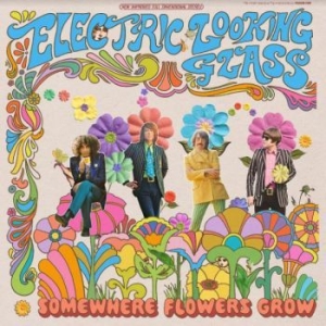 Electric Looking Glass - Somewhere Flowers Grow ryhmässä VINYYLI @ Bengans Skivbutik AB (4000865)