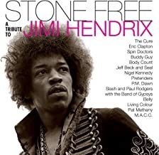 Various artists - Stone free-Tribute to Jimi Hendrix (clea ryhmässä VINYYLI @ Bengans Skivbutik AB (4004878)