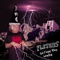 Fleshies - Scrape The Walls ryhmässä VINYYLI @ Bengans Skivbutik AB (4008017)