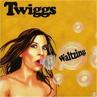 Twiggs - Waltzing ryhmässä CD @ Bengans Skivbutik AB (400903)