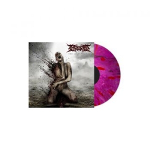 Ingested - Surreption Ii (Pink & Purple Vinyl) ryhmässä VINYYLI @ Bengans Skivbutik AB (4012483)