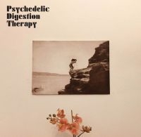 Psychedelic Digestion Therapy - Psychedelic Digestion Therapy ryhmässä VINYYLI @ Bengans Skivbutik AB (4014092)