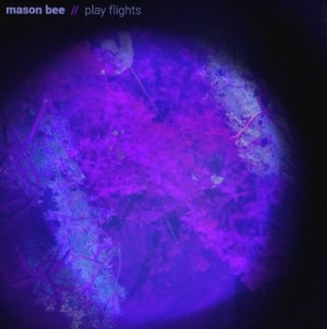 Bee Mason - Play Flights ryhmässä VINYYLI @ Bengans Skivbutik AB (4014102)