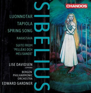 Sibelius Jean - Orchestral Works ryhmässä Musiikki / SACD / Klassiskt @ Bengans Skivbutik AB (4017851)