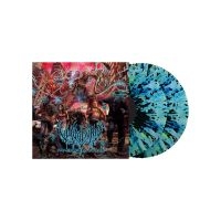 Vulvodynia - Praenuntius Infiniti (Mint & Purple ryhmässä VINYYLI @ Bengans Skivbutik AB (4018500)