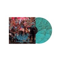 Vulvodynia - Praenuntius Infiniti (Green & Black ryhmässä VINYYLI @ Bengans Skivbutik AB (4018502)