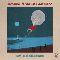 Cavanagh-Brierley Joshua - Joy In Bewilderment ryhmässä CD @ Bengans Skivbutik AB (4020583)