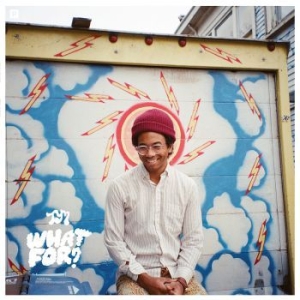 Toro Y Moi - What For? (Lim. Ed. Coloured Vinyl) ryhmässä VINYYLI @ Bengans Skivbutik AB (4022222)