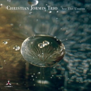 Christian Jormin Trio - See The Unseen ryhmässä CD @ Bengans Skivbutik AB (4030275)