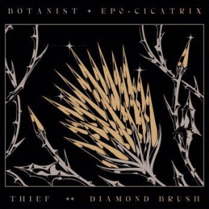 Botanist / Thief - Cicatrix / Diamond Brush ryhmässä CD @ Bengans Skivbutik AB (4031985)