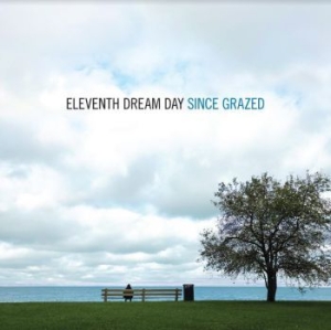 Eleventh Dream Day - Since Grazed ryhmässä VINYYLI @ Bengans Skivbutik AB (4034192)