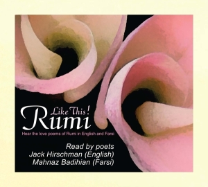 Rumi - Like This ryhmässä CD @ Bengans Skivbutik AB (4039428)