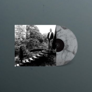 Timber Timbre - Timber Timbre ryhmässä VINYYLI @ Bengans Skivbutik AB (4044134)